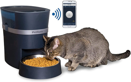 best-cat-automatic-feeder-doggos-king.jpg