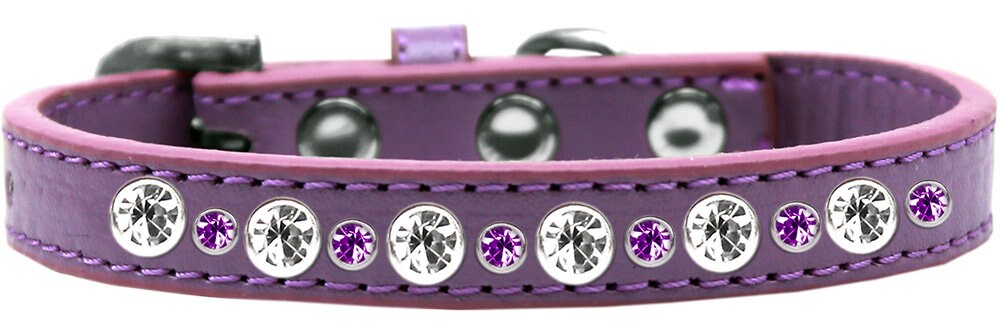 Dog, Puppy & Pet Jeweled Collar, "Posh Crystal Rimsets" - DOGGO'S KING