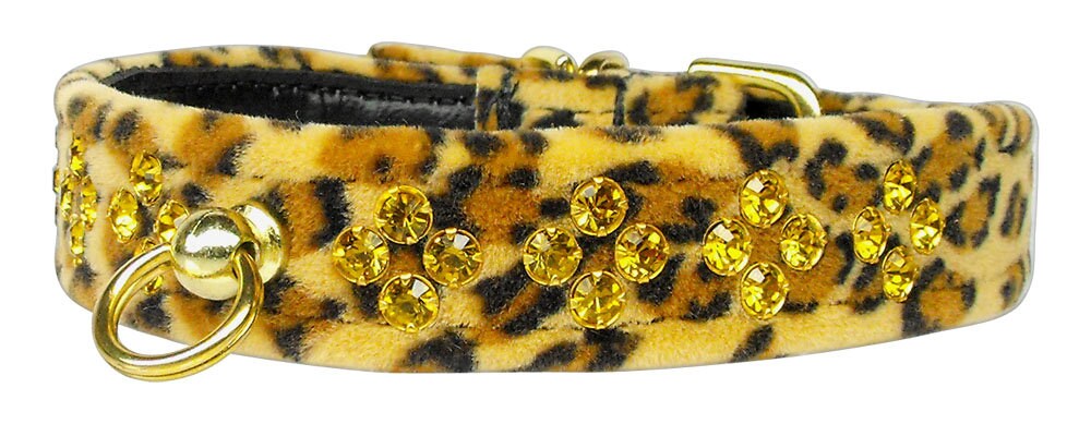 Dog, Puppy and Pet Collar, "Animal Print Sahara" - DOGGO'S KING