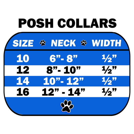Dog, Puppy & Pet Jeweled Collar, "Posh Crystal Rimsets" - DOGGO'S KING
