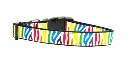 Pet Dog & Cat Nylon Collar or Leash, "Zebra Rainbow" - DOGGO'S KING